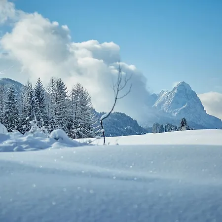 Alpenglueck Whg. 20 * Garmisch-Partenkirchen